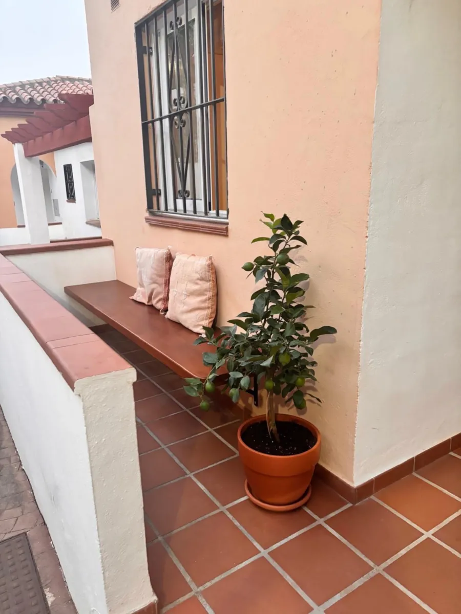 Entrance bench with cushions and a potted tree