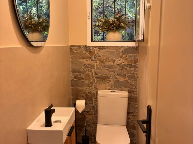 Guest toilet with a window