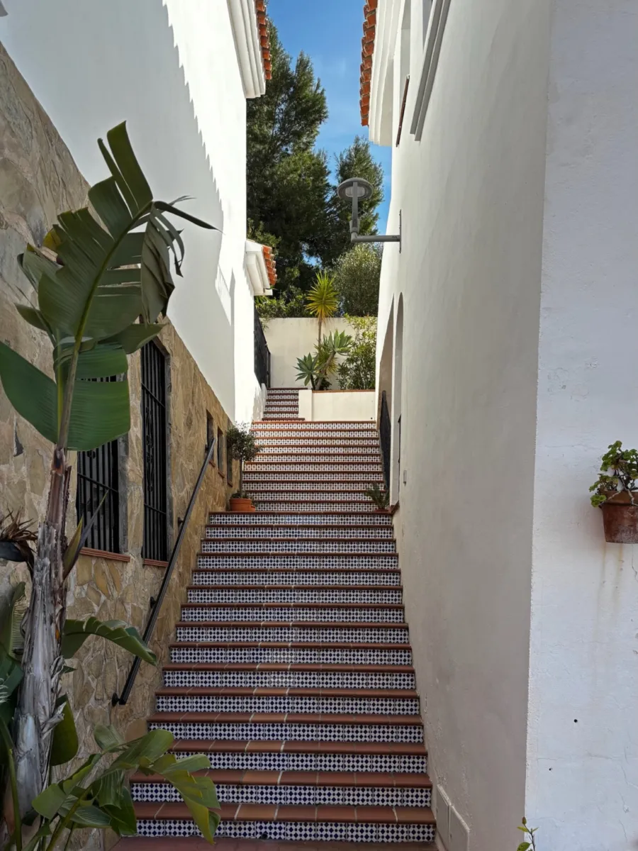 Narrow tiled stairs with plants