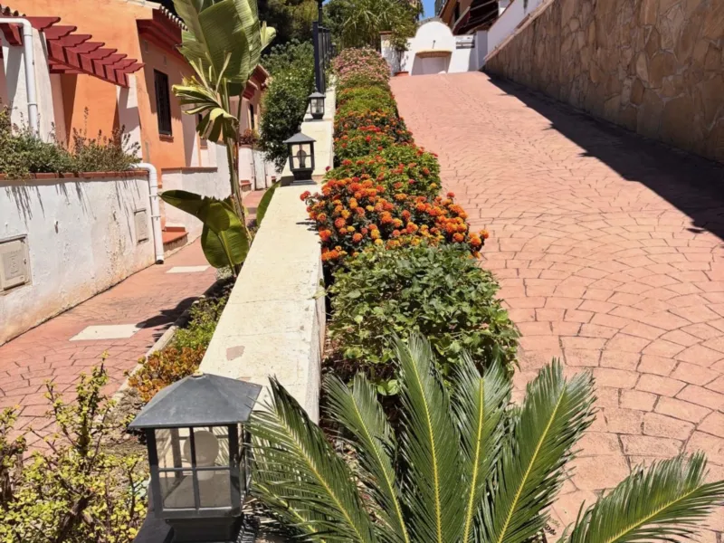 Path with palms and flowers