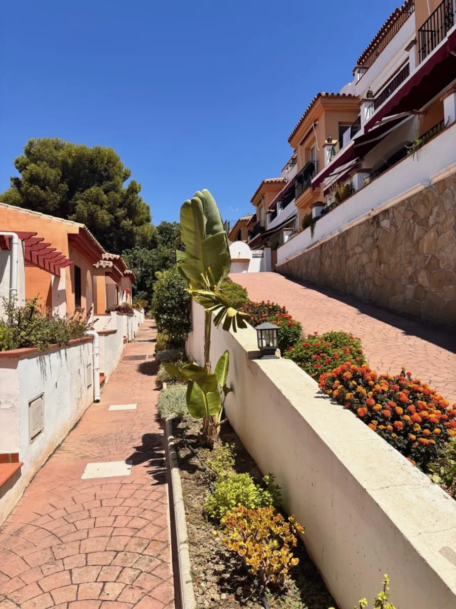 Paved path between the houses