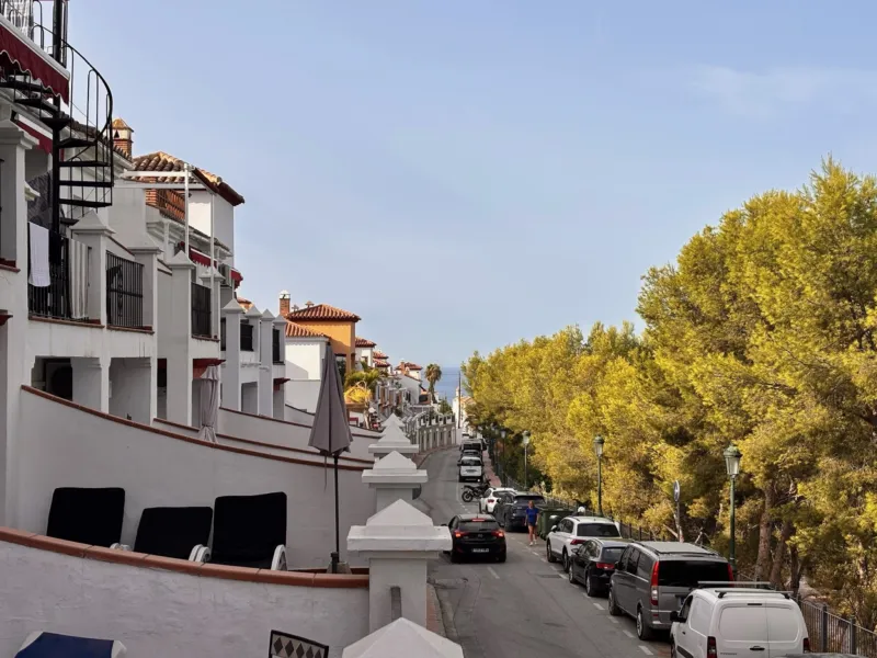 Street through the residence with pine trees