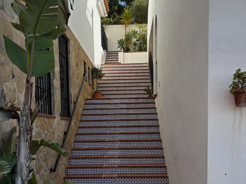 Tiled stairs with green plants